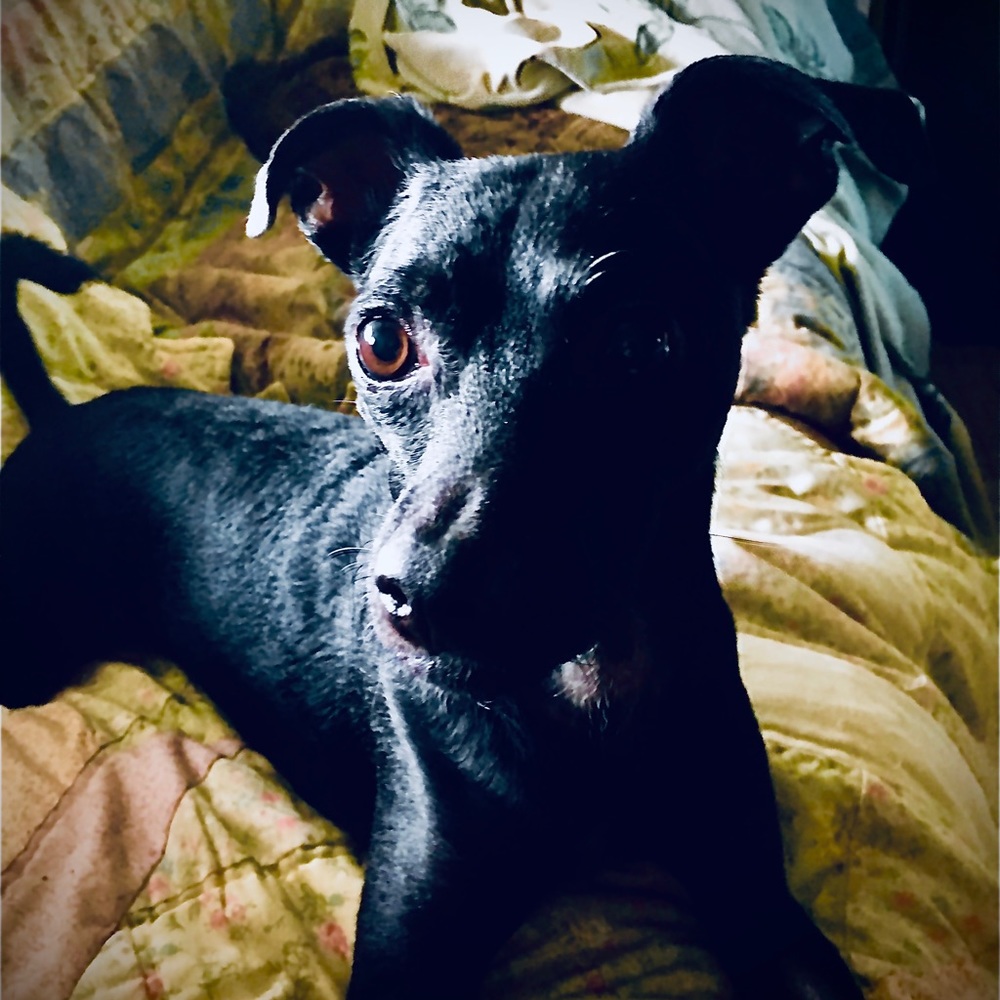 Meet your Posher, August